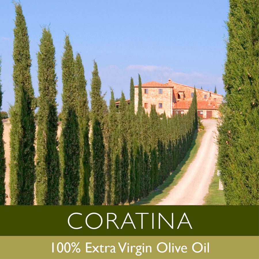 Coratina extra virgin olive oil estate in South Africa with classic cypress trees. Premium olive oil producer showcasing traditional harvesting methods and quality.