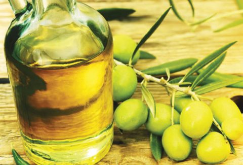olive-oil-olive-branch